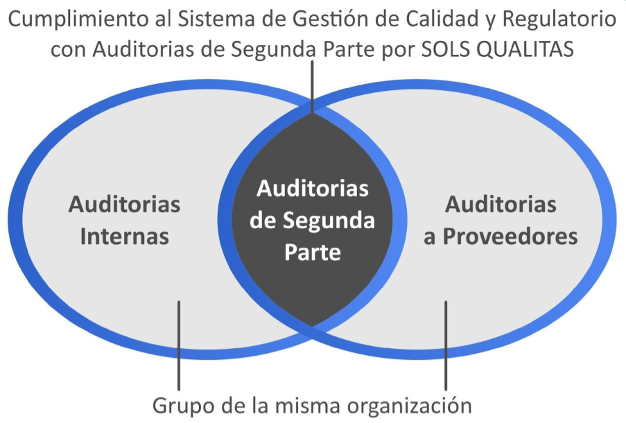 Total 52+ imagen que es auditoria de segunda parte